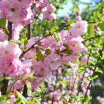 Targi Kielce. HEALTH & BEAUTY, AGROTRAVEL & ACTIVE LIFE, DOM, OGRÓD i TY, RĘKODZIEŁO, ECO-STYLE / Marzena Mąkosa / Radio Kielce