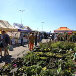 Targi Kielce. HEALTH & BEAUTY, AGROTRAVEL & ACTIVE LIFE, DOM, OGRÓD i TY, RĘKODZIEŁO, ECO-STYLE / Marzena Mąkosa / Radio Kielce