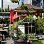 Targi Kielce. HEALTH & BEAUTY, AGROTRAVEL & ACTIVE LIFE, DOM, OGRÓD i TY, RĘKODZIEŁO, ECO-STYLE / Marzena Mąkosa / Radio Kielce