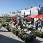 Targi Kielce. HEALTH & BEAUTY, AGROTRAVEL & ACTIVE LIFE, DOM, OGRÓD i TY, RĘKODZIEŁO, ECO-STYLE / Marzena Mąkosa / Radio Kielce