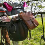 Majówka Patriotyczna w Chęcinach / Marzena Mąkosa / Radio Kielce