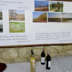 Otwarcie Piwnic Świętokrzyskich Winnic / Emilia Sitarska / Radio Kielce