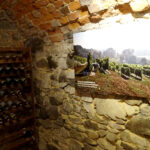 Otwarcie Piwnic Świętokrzyskich Winnic / Emilia Sitarska / Radio Kielce