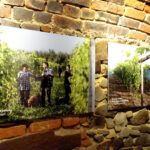 Otwarcie Piwnic Świętokrzyskich Winnic / Emilia Sitarska / Radio Kielce