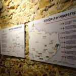 Otwarcie Piwnic Świętokrzyskich Winnic / Emilia Sitarska / Radio Kielce