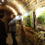 Otwarcie Piwnic Świętokrzyskich Winnic / Emilia Sitarska / Radio Kielce