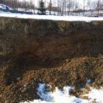 Kolejne wyjątkowe znalezisko paleontologiczne w Górach Świętokrzyskich. Naukowcy z Uniwersytetu Śląskiego znaleźli najstarsze znane skamieniałe szczątki roślin, które rosły na lądzie / Tomasz Brachaniec / Uniwersytet Śląski