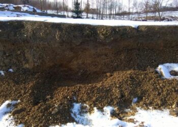 Kolejne wyjątkowe znalezisko paleontologiczne w Górach Świętokrzyskich. Naukowcy z Uniwersytetu Śląskiego znaleźli najstarsze znane skamieniałe szczątki roślin, które rosły na lądzie / Tomasz Brachaniec / Uniwersytet Śląski