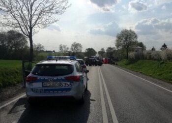Śmiertelny wypadek na drodze krajowej nr 74 z Kielc do Opatowa / świętokrzyska policja