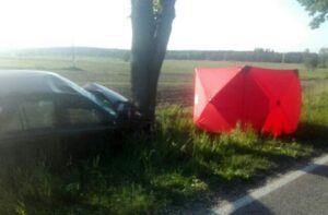 60 - letni mężczyzna zginął w wypadku, do którego doszło w miejscowości Umianowice w powiecie pińczowskim / PSP Pińczów
