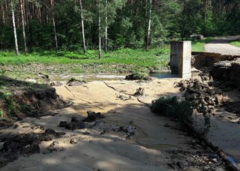 Szkody w lesie wyrządzone przez nawałnice / Nadleśnictwo Daleszyce, Lasy Państwowe / facebook