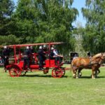 Ożarów. Czempionat koni rasy zimnokrwistej / Emilia Sitarska / Radio Kielce
