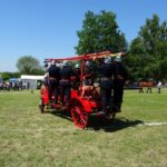 Ożarów. Czempionat koni rasy zimnokrwistej / Emilia Sitarska / Radio Kielce