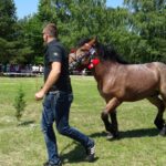 Ożarów. Czempionat koni rasy zimnokrwistej / Emilia Sitarska / Radio Kielce