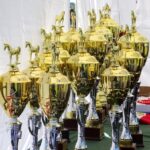 Ożarów. Czempionat koni rasy zimnokrwistej / Emilia Sitarska / Radio Kielce