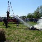 Ożarów. Czempionat koni rasy zimnokrwistej / Emilia Sitarska / Radio Kielce