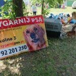 Piknik edukacyjny w Podzamczu / Daniel Lenart / Radio Kielce