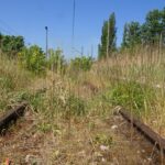 Busko-Zdrój. Stacja kolejowa. Stan obecny / Kamil Włosowicz / Radio Kielce