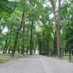 15.05.2018 Kazimierza Wielka. Park miejski / Kamil Włosowicz / Radio Kielce