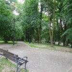 15.05.2018 Kazimierza Wielka. Park miejski / Kamil Włosowicz / Radio Kielce