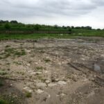 Nadbrzeże wiślane w Opatowcu / Kamil Włosowicz / Radio Kielce