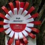 Jezióro. Uroczystości 155 rocznicy zwycięskiej potyczki oddziału Dionizego Czachowskiego. Dąb Dionizy / Anna Głąb / Radio Kielce