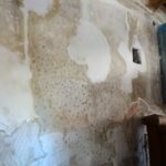 Wiślica. Prace konserwatorskie w sieni Domu Długosza / Kamil Włosowicz / Radio Kielce