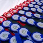 Ożarów. Czempionat koni rasy zimnokrwistej / Emilia Sitarska / Radio Kielce