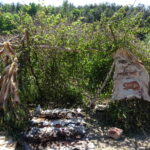 Piknik Archeologiczny „Rydno” / Tomasz Piwko / Radio Kielce