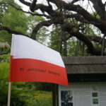 Okolice dębu Bartka zostały udekorowane biało-czerwonymi flagami / Marcin Różyc / Radio Kielce