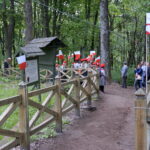 Okolice dębu Bartka zostały udekorowane biało-czerwonymi flagami / Marcin Różyc / Radio Kielce