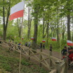 Okolice dębu Bartka zostały udekorowane biało-czerwonymi flagami / Marcin Różyc / Radio Kielce