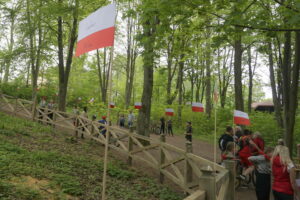 Okolice dębu Bartka zostały udekorowane biało-czerwonymi flagami / Marcin Różyc / Radio Kielce