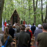 Okolice dębu Bartka zostały udekorowane biało-czerwonymi flagami / Marcin Różyc / Radio Kielce