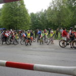 Okolice dębu Bartka zostały udekorowane biało-czerwonymi flagami / Marcin Różyc / Radio Kielce