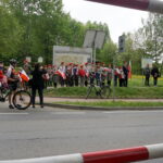 Okolice dębu Bartka zostały udekorowane biało-czerwonymi flagami / Marcin Różyc / Radio Kielce