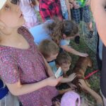 Piknik edukacyjny w Podzamczu / Daniel Lenart / Radio Kielce