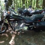 Zlot motocyklistów na Świętym Krzyżu / Emilia Sitarska / Radio Kielce