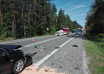 Wypadek w Lisowie / Policja