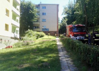 Ostrowiec. Policja bierze udział w akcji zabezpieczania bloku przy ulicy Mickiewicza / Anna Głąb / Radio Kielce