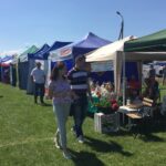 31. Wojewódzkie Święto Kwitnącej Jabłoni / Grażyna Szlęzak-Wójcik / Radio Kielce