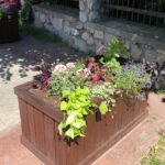 Nasadzenia kwiatów / Grażyna Szlęzak-Wójcik / Radio Kielce