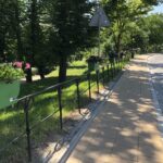 Nasadzenia kwiatów / Grażyna Szlęzak-Wójcik / Radio Kielce