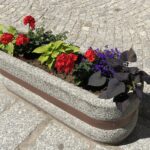 Nasadzenia kwiatów / Grażyna Szlęzak-Wójcik / Radio Kielce