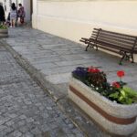 Nasadzenia kwiatów / Grażyna Szlęzak-Wójcik / Radio Kielce