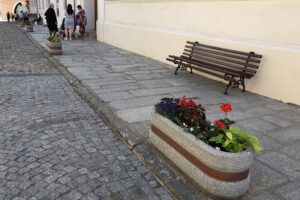 Nasadzenia kwiatów / Grażyna Szlęzak-Wójcik / Radio Kielce