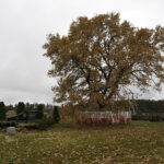 03.11.2017 Zułów. Litwa. Miejsce, gdzie stał dwór rodziny Piłsudskich / Jarosław Kubalski / Radio Kielce