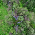 02.05.2018 Kielce. Zanieczyszczona rzeka Silnica przed zalewem / Jarosław Kubalski / Radio Kielce