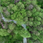 02.05.2018 Kielce. Zanieczyszczona rzeka Silnica przed zalewem / Jarosław Kubalski / Radio Kielce