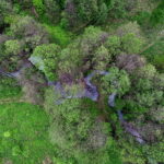 02.05.2018 Kielce. Zanieczyszczona rzeka Silnica przed zalewem / Jarosław Kubalski / Radio Kielce